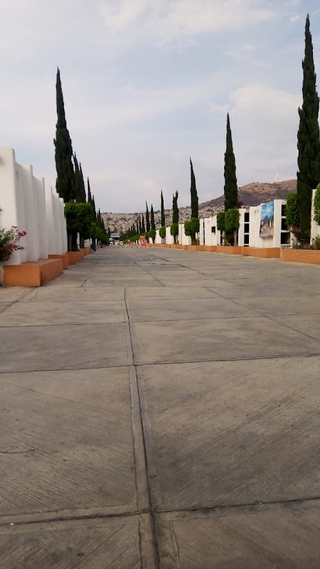 Funeraria Servicios Funerarios Mtp